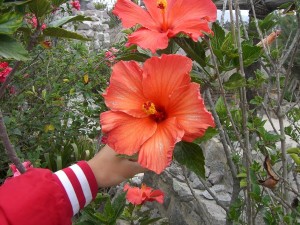 Student tours to Galapagos Islands